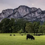 Homestay Gaestehaus Drachennest Sankt Lorenz (Vocklabruck)