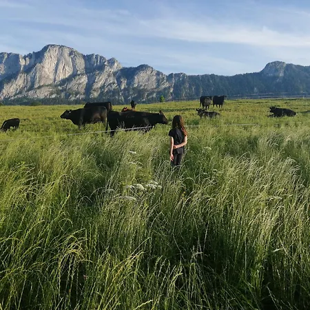 Gaestehaus Drachennest