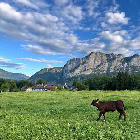 Gaestehaus Drachennest Homestay *