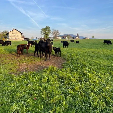 Gaestehaus Drachennest