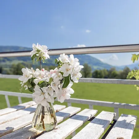 Gaestehaus Drachennest Homestay Sankt Lorenz (Vocklabruck)