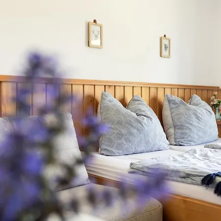 홈스테이 Gaestehaus Drachennest