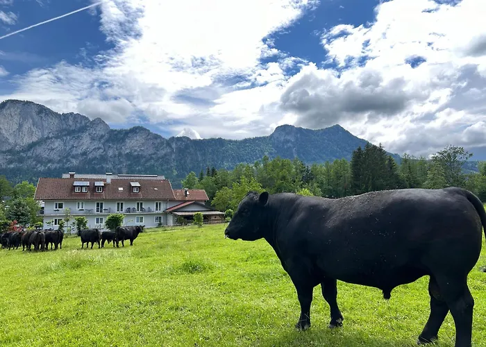 Gaestehaus Drachennest Homestay Sankt Lorenz (Vocklabruck)