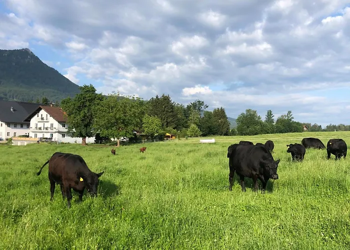 Gaestehaus Drachennest * Sankt Lorenz (Vocklabruck)