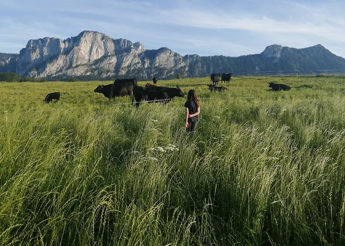 Gaestehaus Drachennest