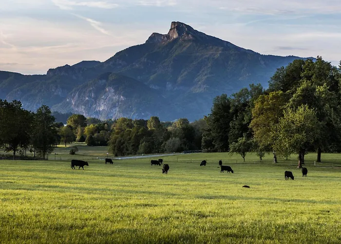 Gaestehaus Drachennest