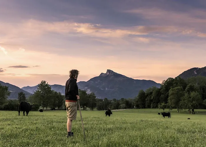Accommodatie bij particulieren Gaestehaus Drachennest