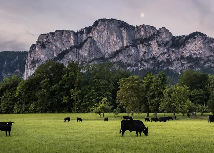 Homestay Gaestehaus Drachennest Sankt Lorenz (Vocklabruck)