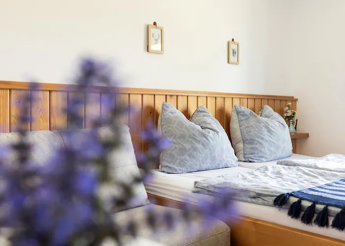 Homestay Gaestehaus Drachennest