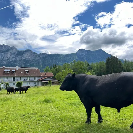 Gaestehaus Drachennest 民宿 Sankt Lorenz (Vocklabruck)