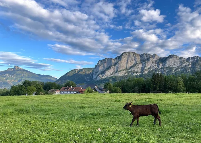 Gaestehaus Drachennest 民宿 *