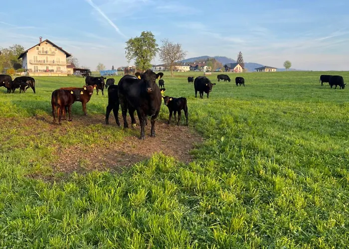 Gaestehaus Drachennest